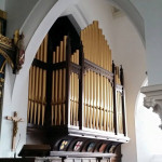 side view of organ